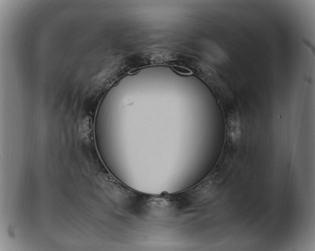 X0000103450519200809191751