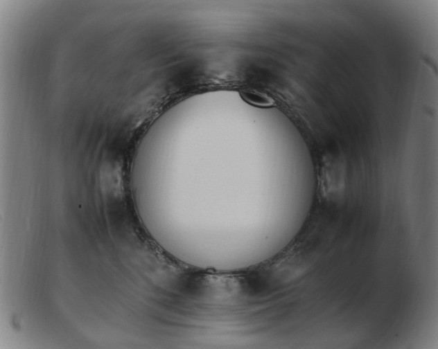 X0000103450520200809191751