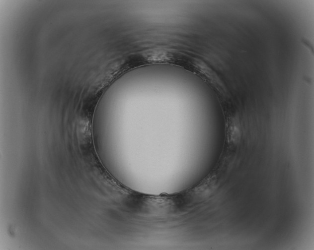 X0000103450521200809191751