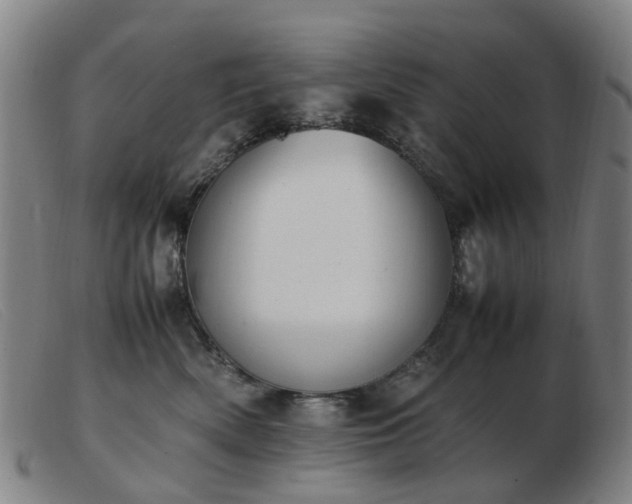 X0000103450522200809191751