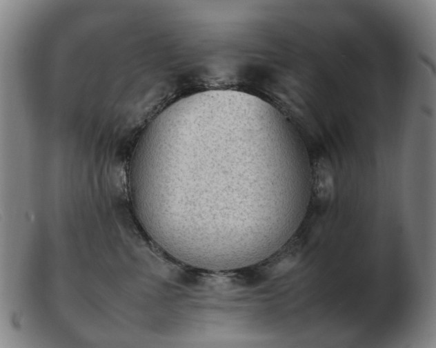 X0000103450523200809191751