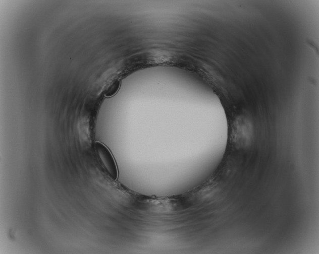 X0000103450524200809191751