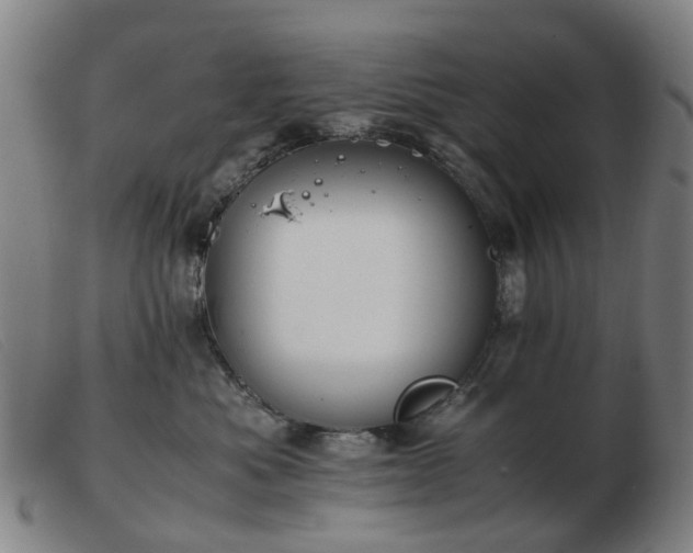 X0000103450525200809191751