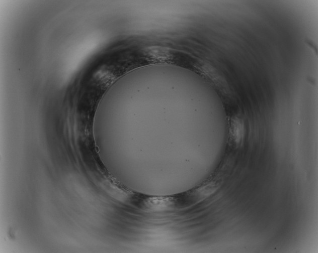 X0000103450526200809191751