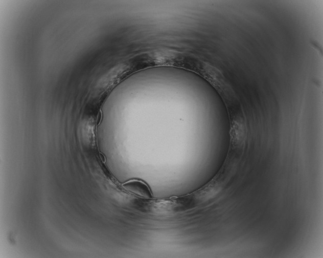 X0000103450527200809191751