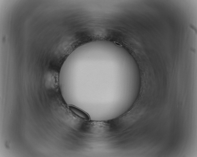 X0000103450528200809191751