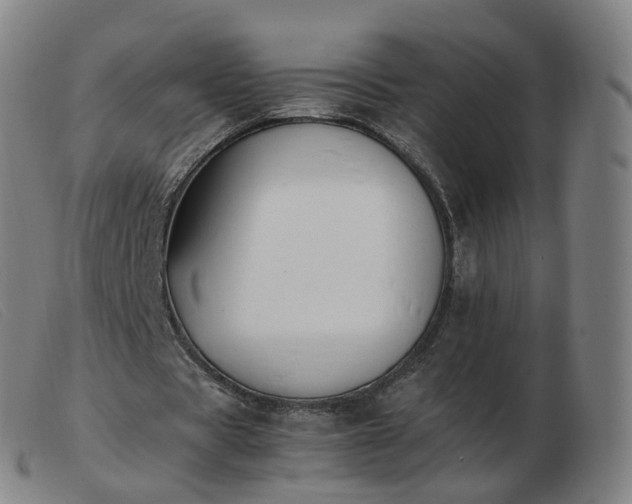 X0000103450529200809191750