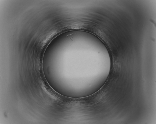 X0000103450530200809191750