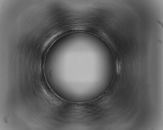 X0000103450531200809191750