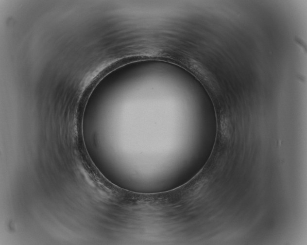 X0000103450532200809191750