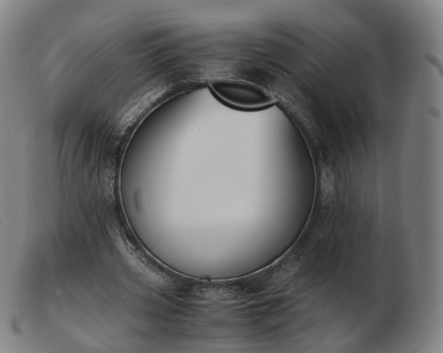 X0000103450533200809191750