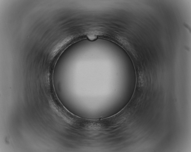 X0000103450535200809191750