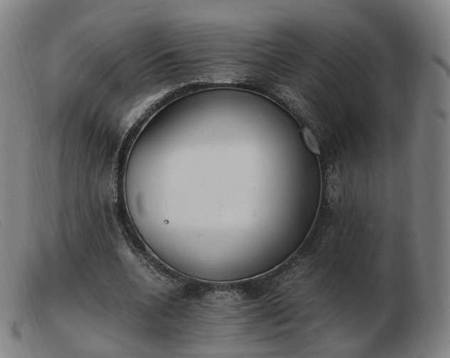 X0000103450536200809191750