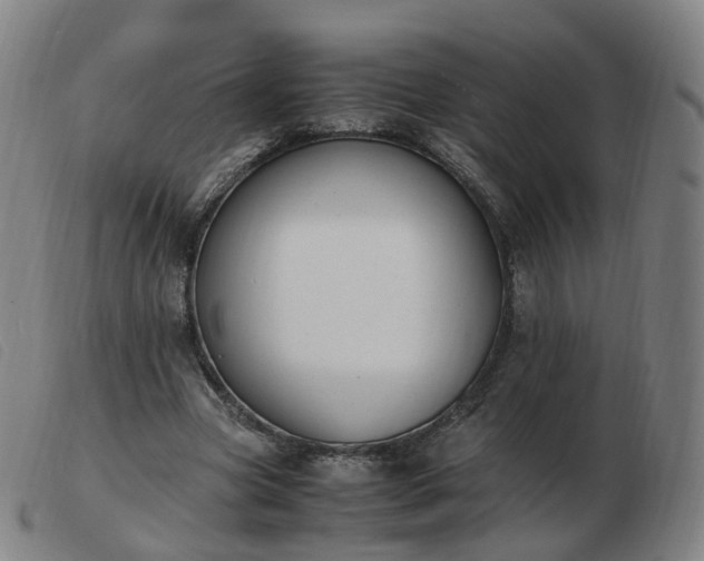 X0000103450537200809191750