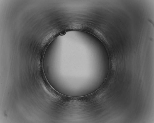 X0000103450538200809191750