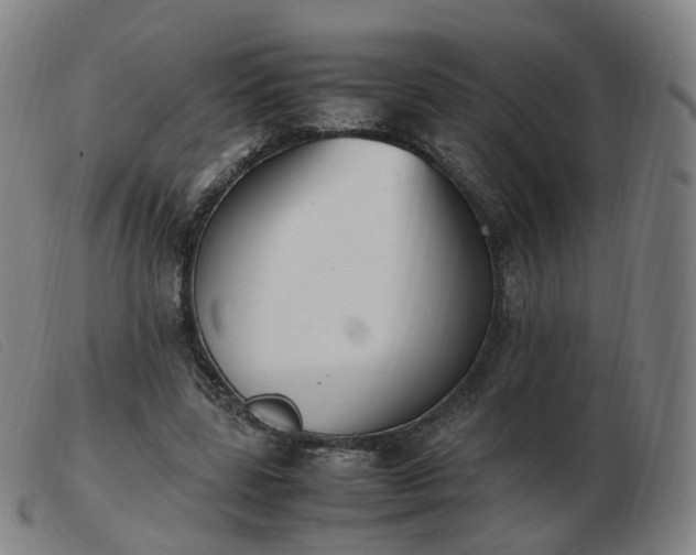 X0000103450539200809191750