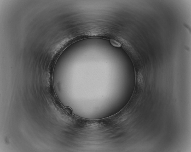 X0000103450540200809191750