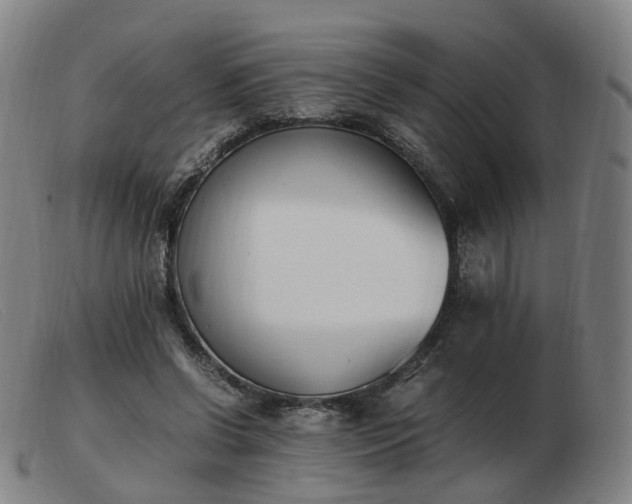 X0000103450542200809191750