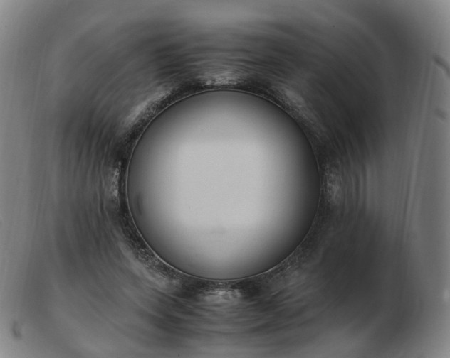 X0000103450543200809191750
