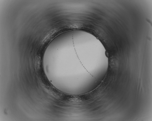 X0000103450544200809191750