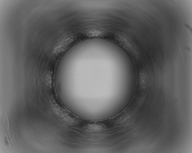 X0000103450545200809191750