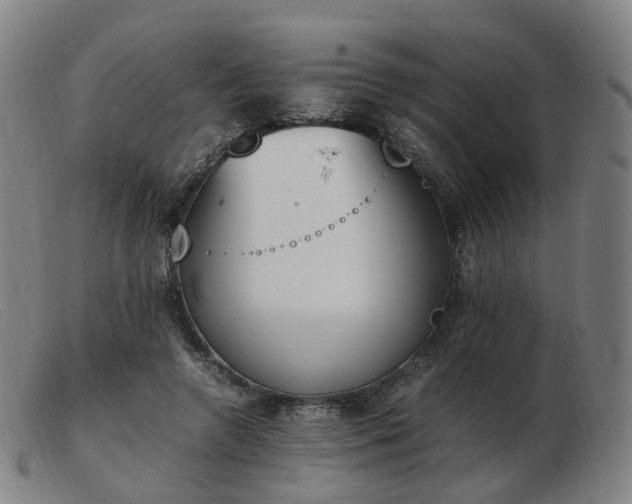 X0000103450546200809191750