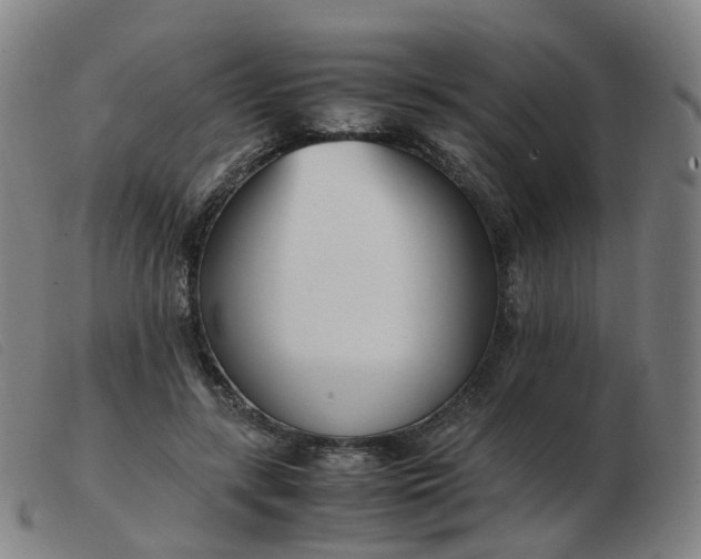X0000103450547200809191750