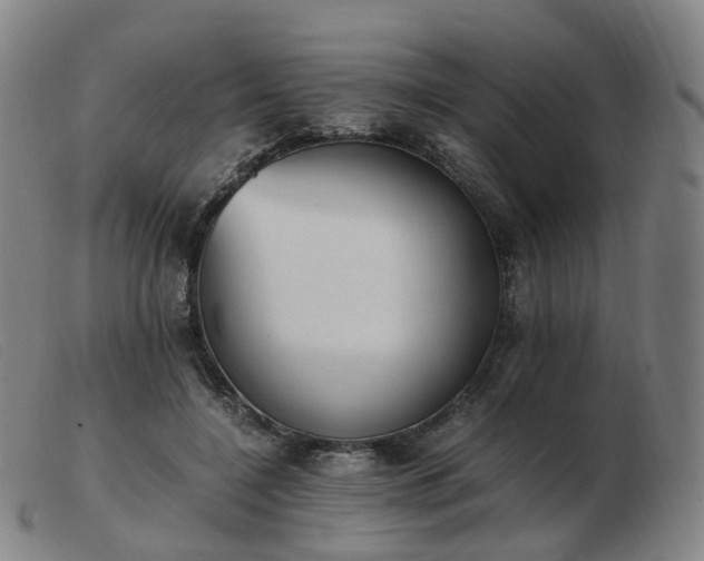 X0000103450548200809191750