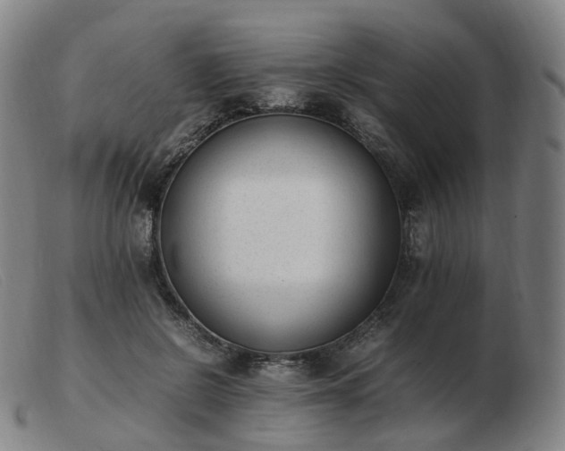 X0000103450550200809191750