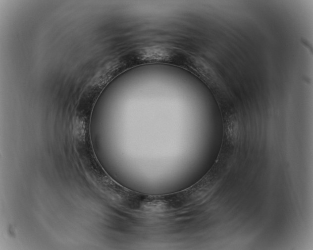 X0000103450551200809191750