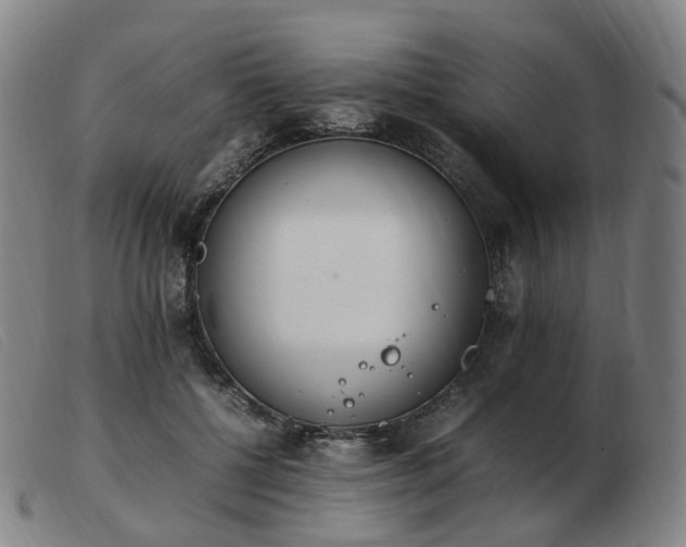 X0000103450552200809191750