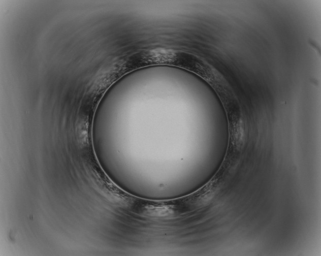 X0000103450553200809191750