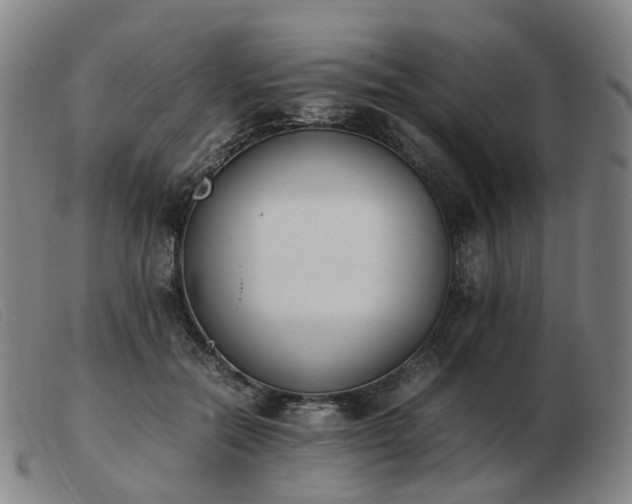 X0000103450554200809191750
