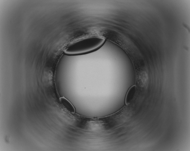 X0000103450556200809191750