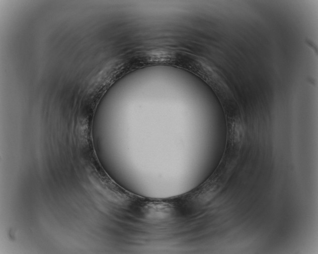 X0000103450557200809191750