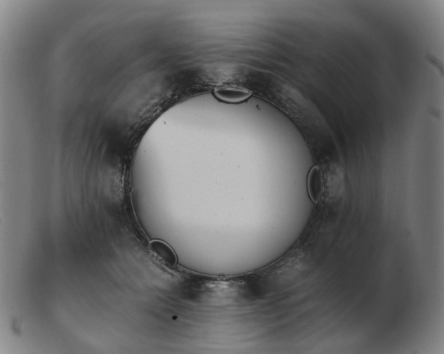 X0000103450558200809191750