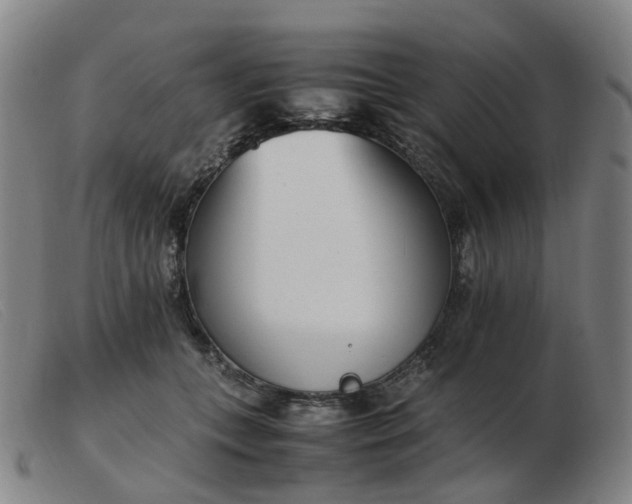 X0000103450559200809191750
