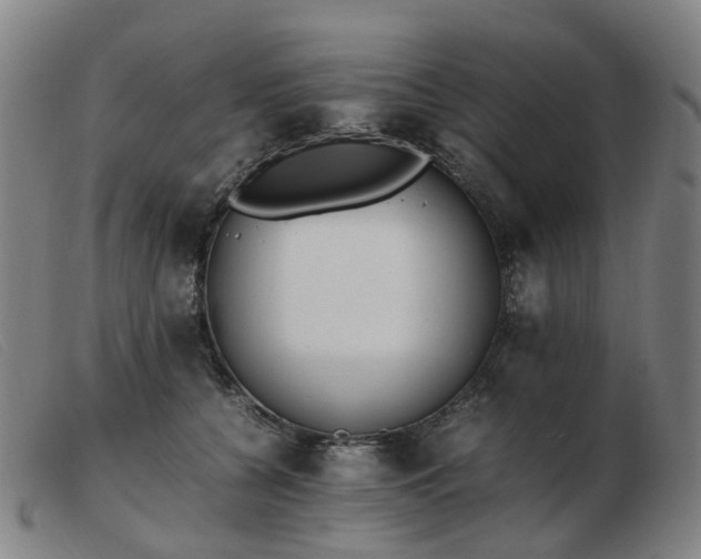 X0000103450560200809191751