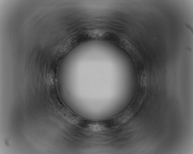 X0000103450561200809191751
