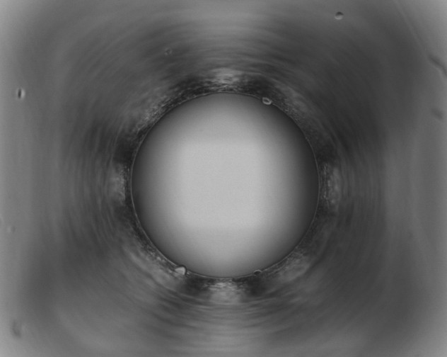 X0000103450562200809191751