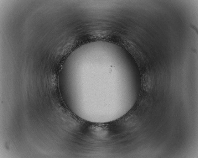 X0000103450563200809191751