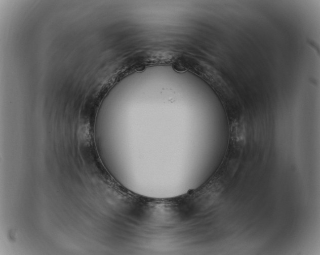 X0000103450564200809191751