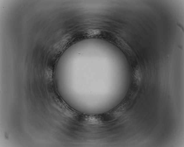 X0000103450565200809191751