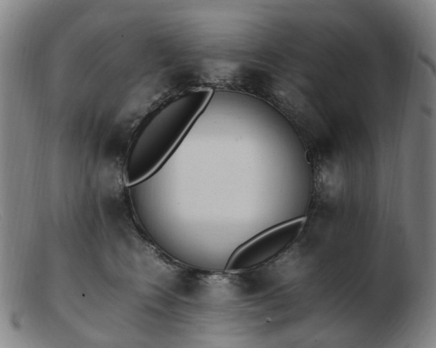 X0000103450566200809191751