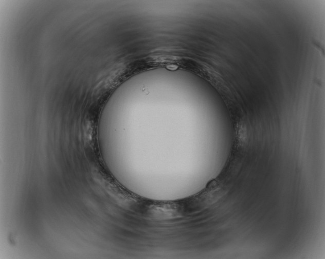 X0000103450567200809191751
