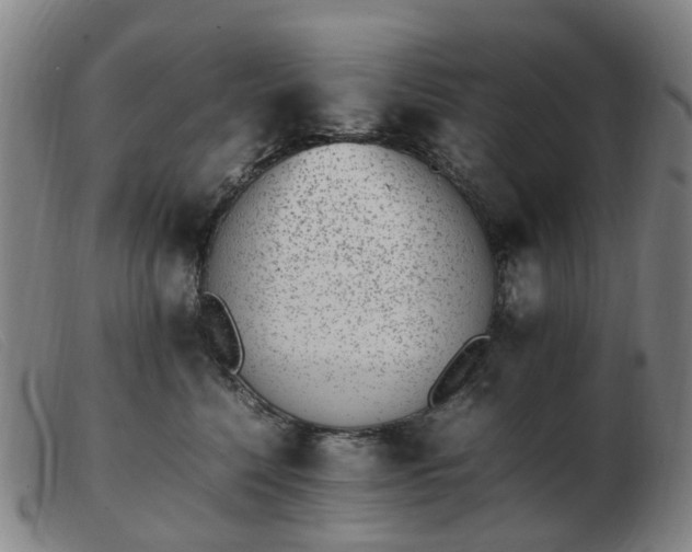 X0000103450568200809191751