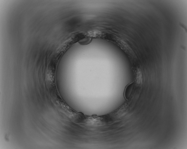 X0000103450569200809191751