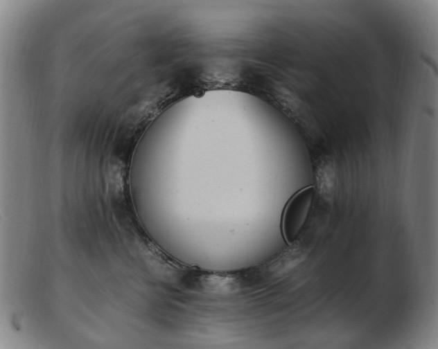 X0000103450570200809191751