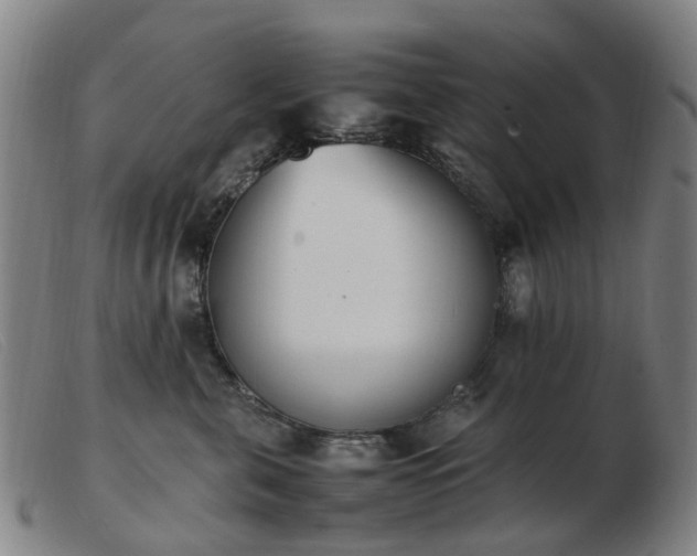 X0000103450571200809191751