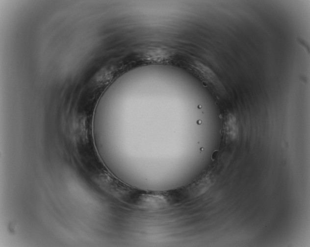 X0000103450572200809191751